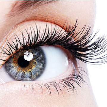 Lash Extensions/ Tinting