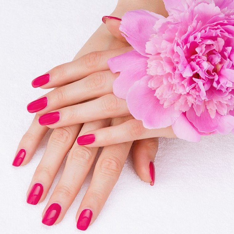 Nice Nails & Spa - 8048 N 19th Ave - (602) 759-9184